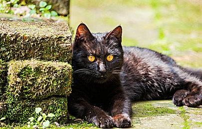 键鼠也能使用辅助瞄准？《Apex英雄》再现恶性漏洞